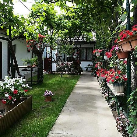 Flower House Constanta Luaran gambar